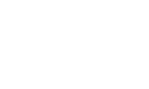 arizone logo