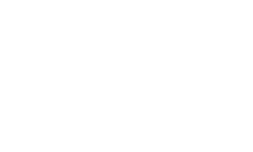 flybiz